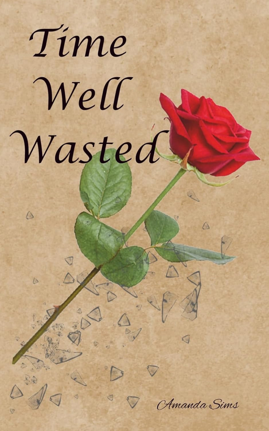 Time Well Wasted - Amanda Sims